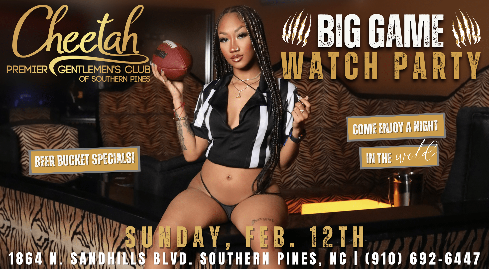 Superbowl Big Game Watch Party